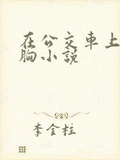 在公交车上被摸胸小说