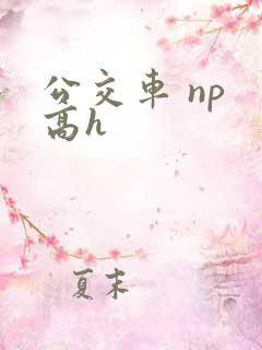 公交车 np 高h