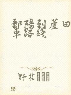 鄱阳到芦田公交车路线