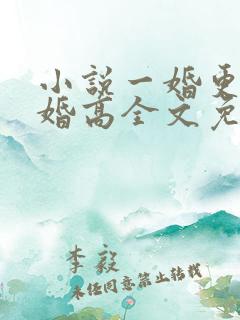 小说一婚更比一婚高全文免费阅读完整版