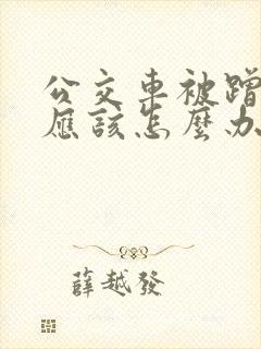 公交车被蹭了我应该怎么办