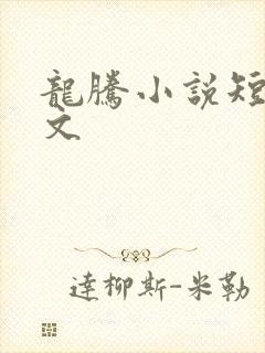 龙腾小说短篇辣文