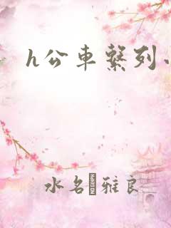 h公车系列小说