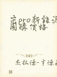 宋pro新能源团购价格