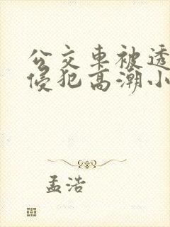 公交车被透明人侵犯高潮小说