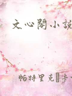 文心阁小说
