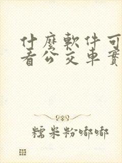 什么软件可以查看公交车实时位置
