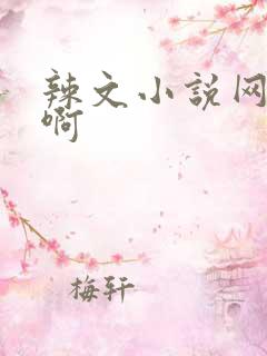 辣文小说网啊啊啊