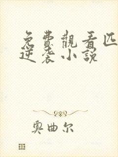 免费观看匹夫的逆袭小说