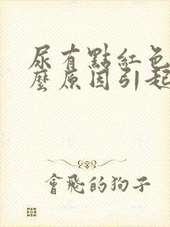 尿有点红色是什么原因引起的