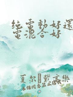 纯电动好还是插电混合好