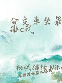 公交车坐最后一排c我
