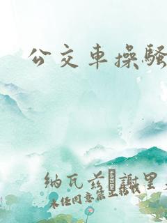 公交车操骚货