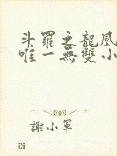 斗罗之龙凰传说唯一无双小说