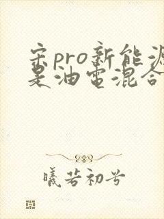 宋pro新能源是油电混合么