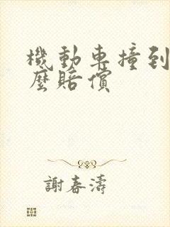 机动车撞到人怎么赔偿