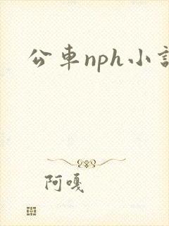 公车nph小说