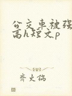 公交车被强好爽高h短文p