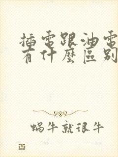 插电跟油电混合有什么区别