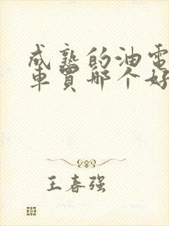 成熟的油电混合车买哪个好