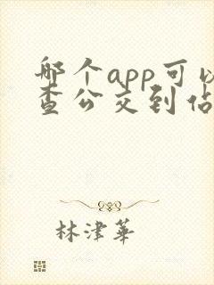 哪个app可以查公交到站时间