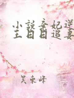 小说弃妃逆袭邪王日日追妻忙免费阅读