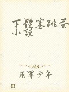 下体塞跳蛋调教小说