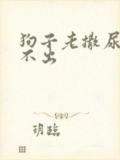 狗子老撒尿但尿不出