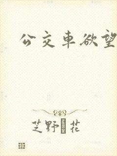 公交车欲望系列