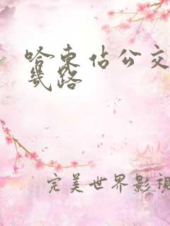 哈东站公交车有几路