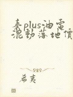 秦plus油电混动落地价