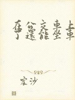 在公交车上高潮了还能坐车吗