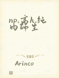 np,高h,纯肉师生