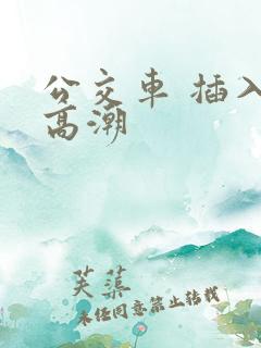 公交车 插入 高潮