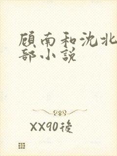 顾南和沈北是哪部小说