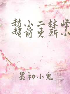 赵小二林峰宁欣超前更新小说
