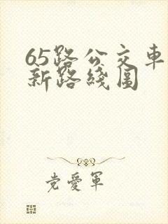 65路公交车最新路线图
