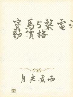 宝马5系电油混动价格