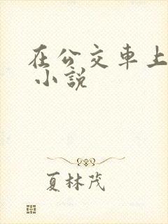 在公交车上被h 小说