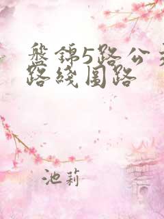 盘锦5路公交车路线图路