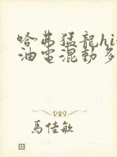 哈弗猛龙hi4油电混动多少钱