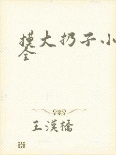 摸大扔子小说大全
