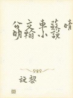 公交车苏晴和苏明翰小说