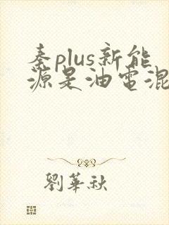 秦plus新能源是油电混合么