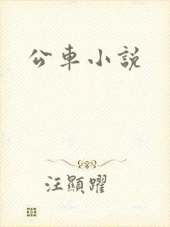 公车小说