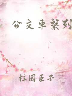 公交车系列白洁