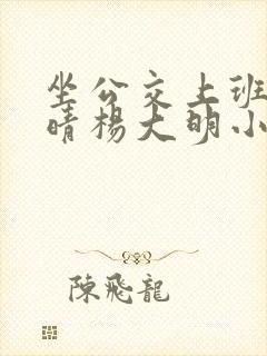坐公交上班的苏晴杨大明小说