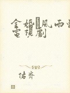 金婚·风雨情 电视剧