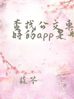 查找公交车在实时的app是哪个