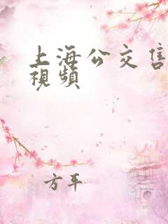 上海公交售票员视频